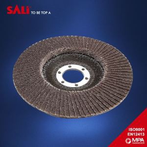 ক্যালকিন্ড অ্যালুমিনিয়া 4.5 ইঞ্চি বালি কাপড় ফাঁপা মেটাল জন্য ডিস্ক